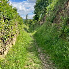 22-06-06 11-28-56 1059